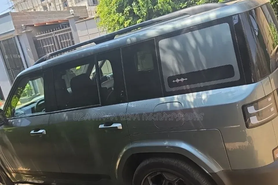BYD Leopard 7 2025 Green