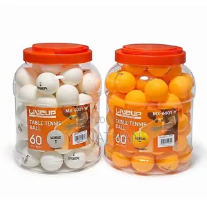 60 PCS Tennis Balls