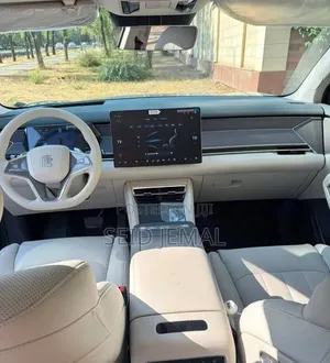 New BYD Tang DM-i 2025 Gray