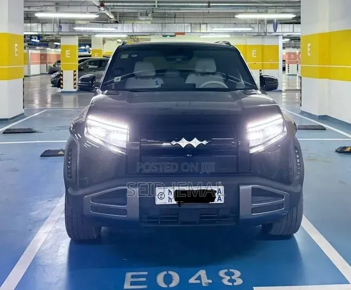 BYD Leopard 3 2025 Matt Black