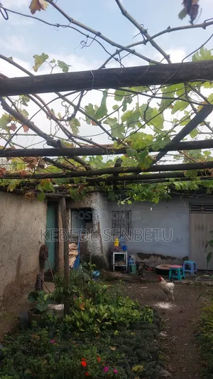 3bdrm House in Oromia, East Shewa for sale