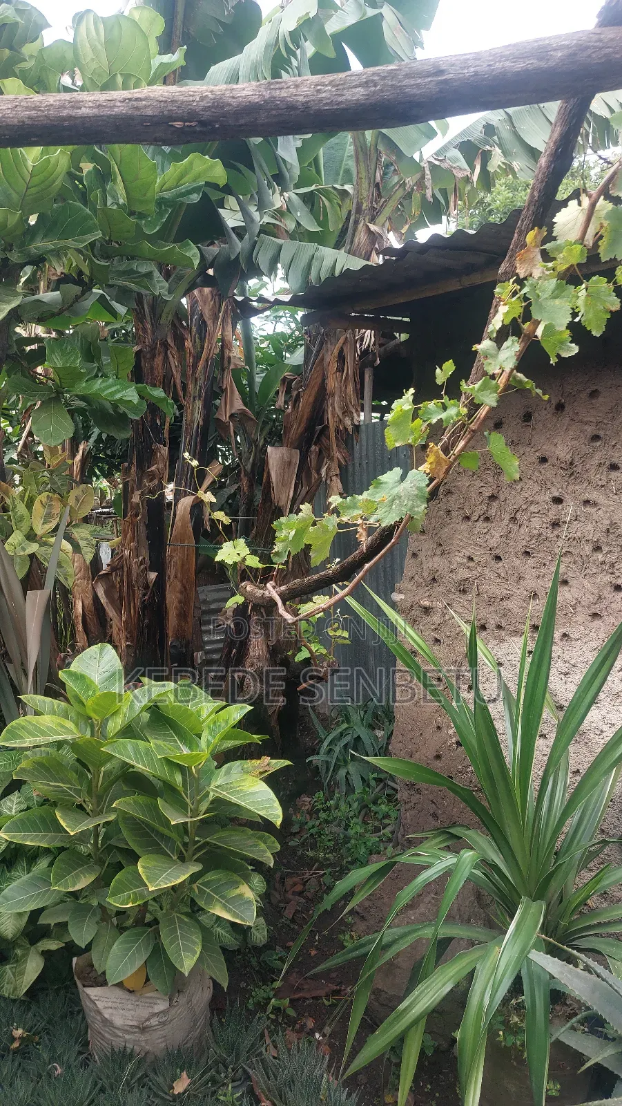 3bdrm House in Oromia, East Shewa for sale
