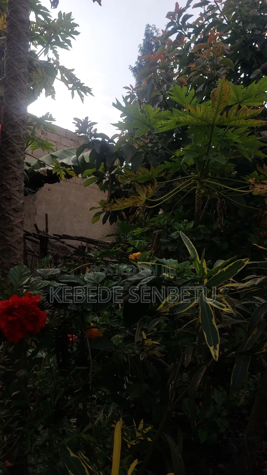 3bdrm House in Oromia, East Shewa for sale