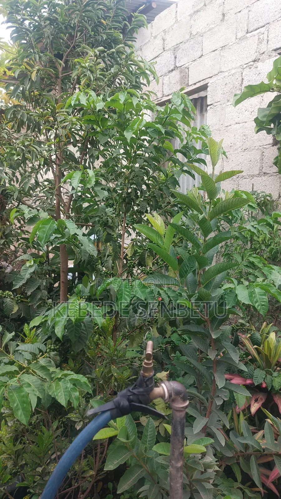 3bdrm House in Oromia, East Shewa for sale