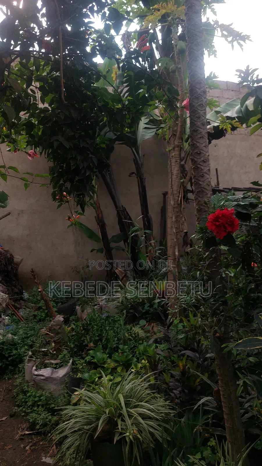 3bdrm House in Oromia, East Shewa for sale