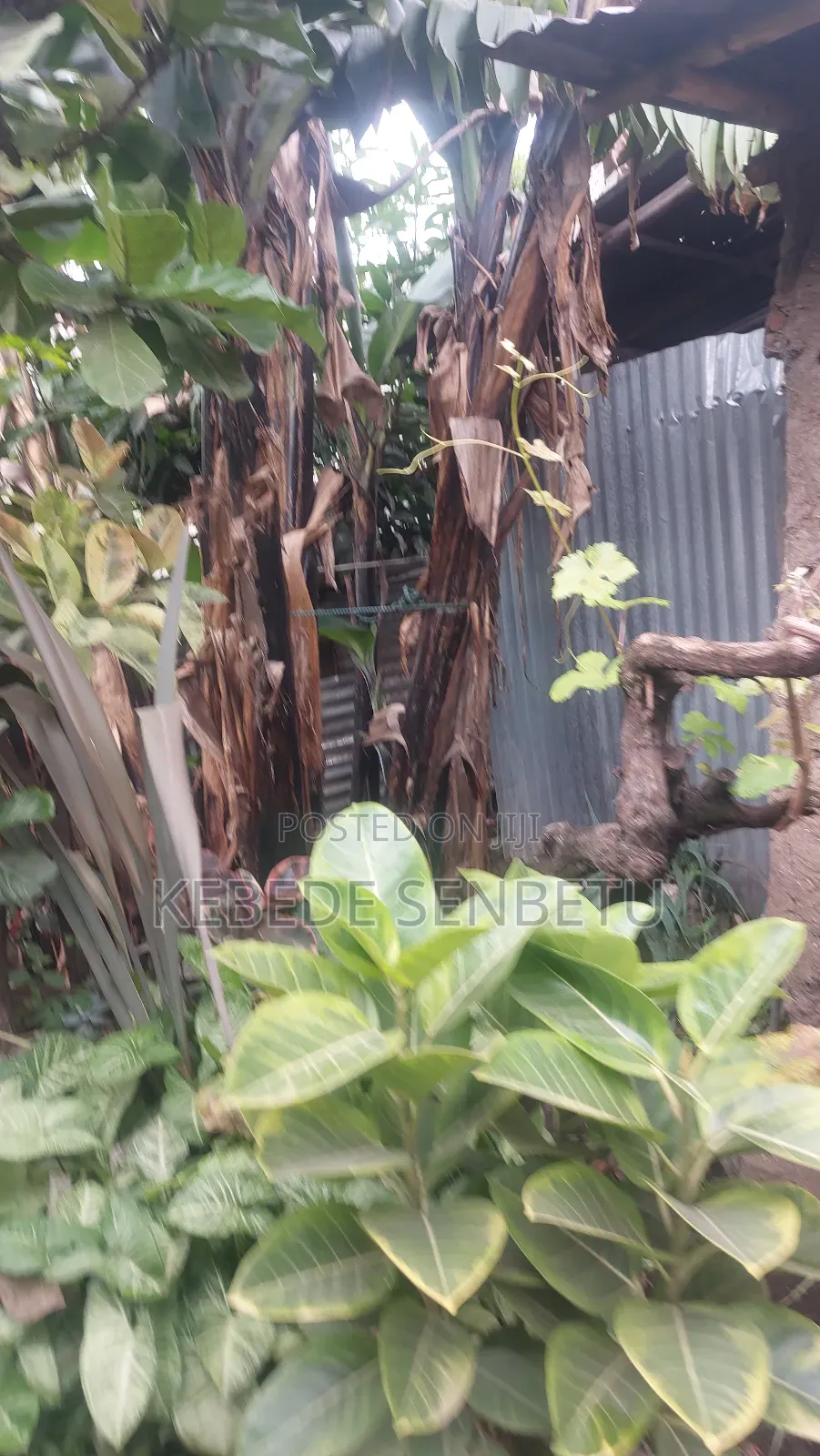 3bdrm House in Oromia, East Shewa for sale