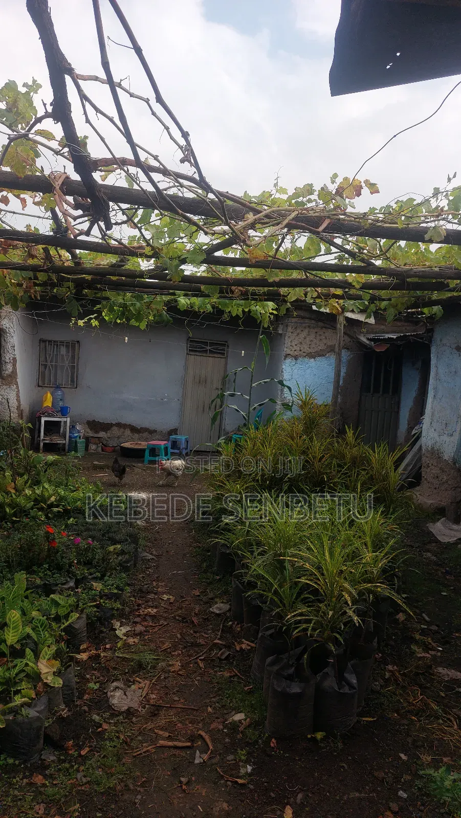 3bdrm House in Oromia, East Shewa for sale
