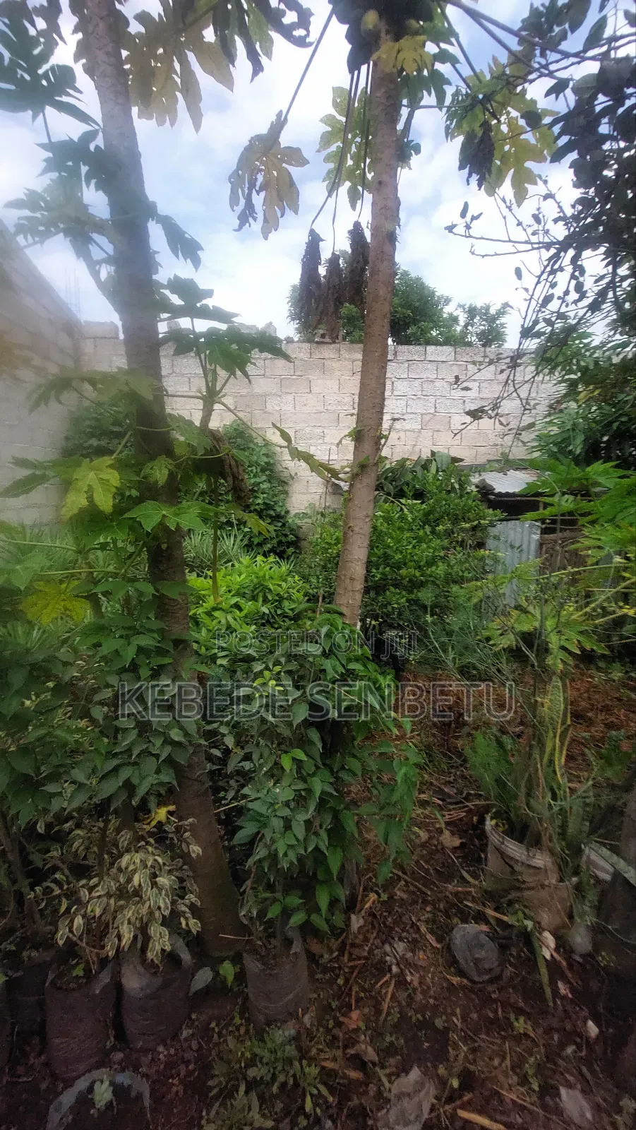 3bdrm House in Oromia, East Shewa for sale