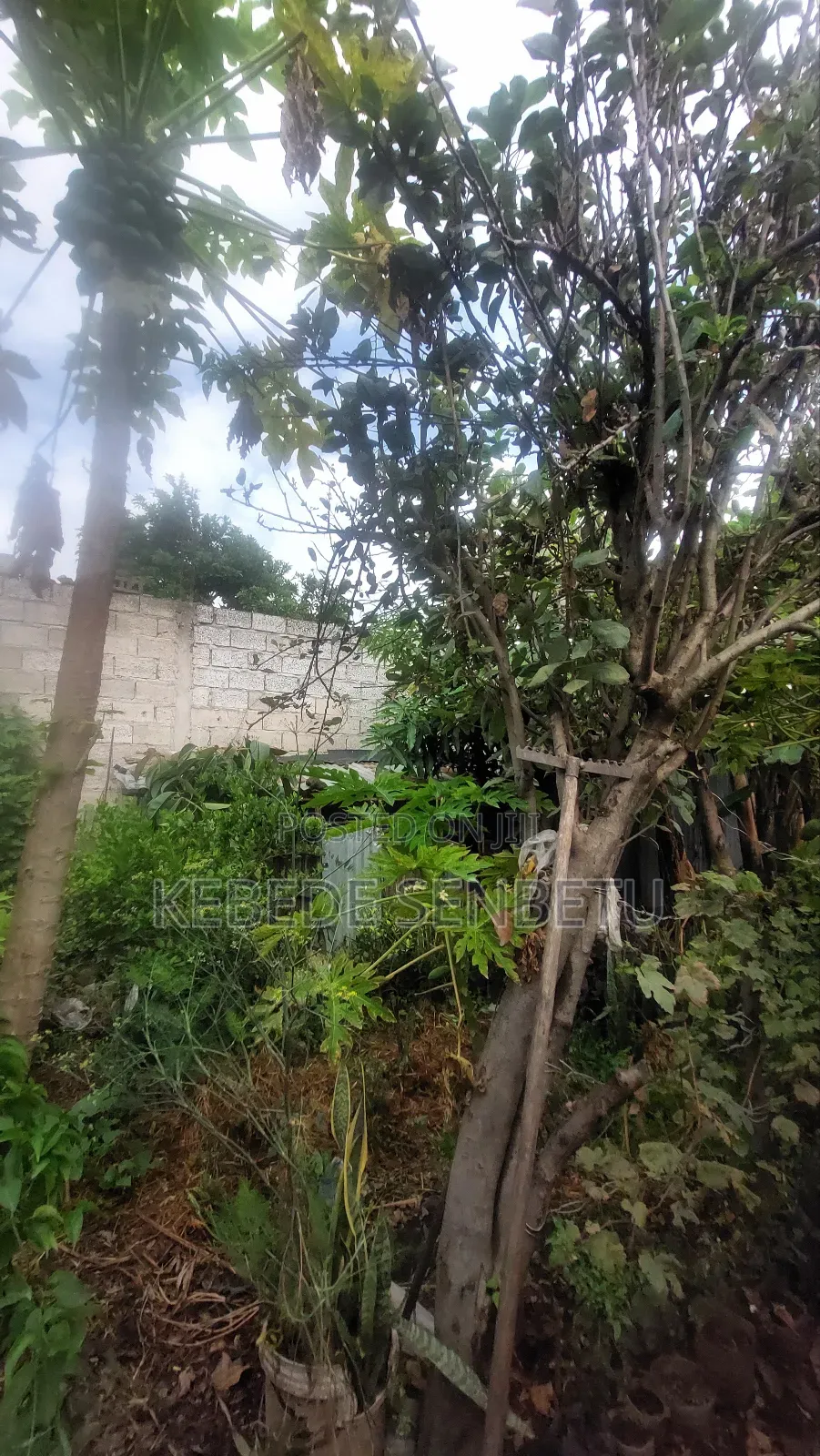 3bdrm House in Oromia, East Shewa for sale