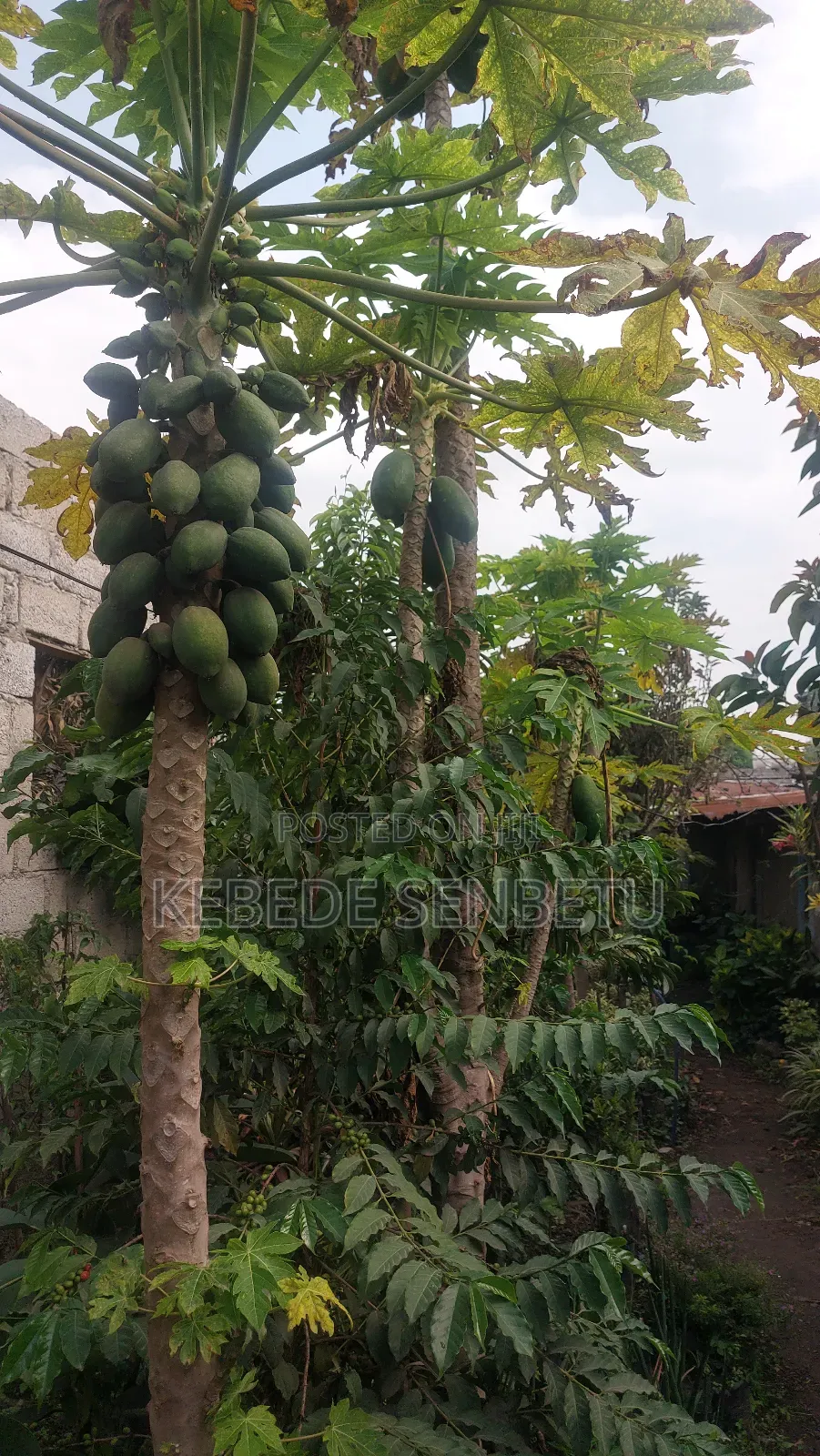 3bdrm House in Oromia, East Shewa for sale