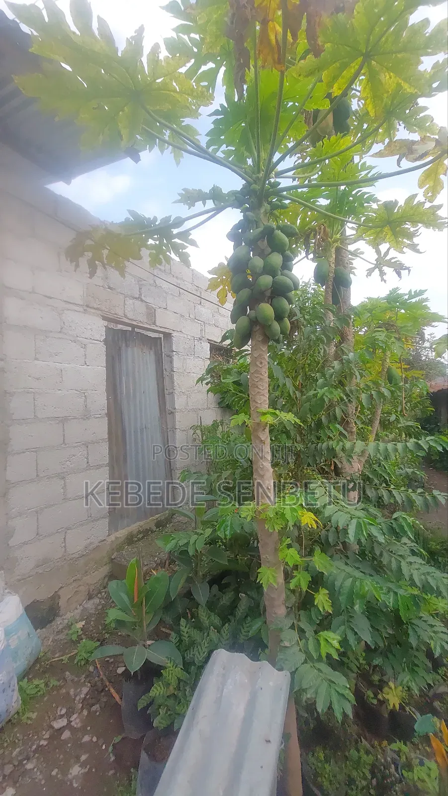 3bdrm House in Oromia, East Shewa for sale
