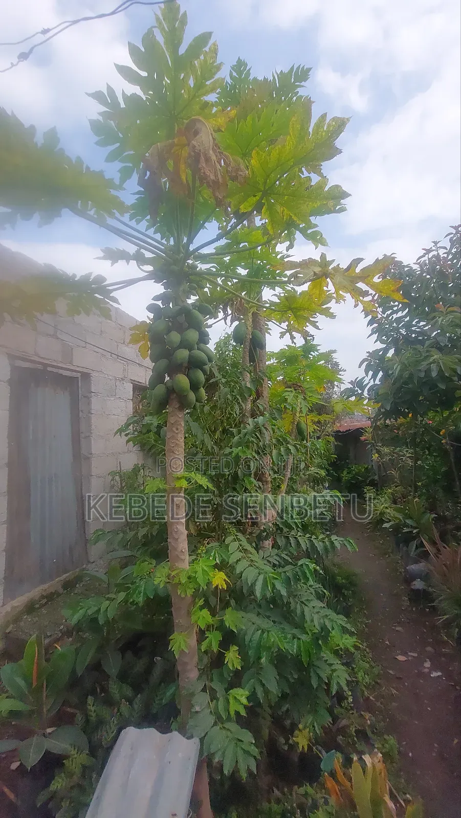 3bdrm House in Oromia, East Shewa for sale