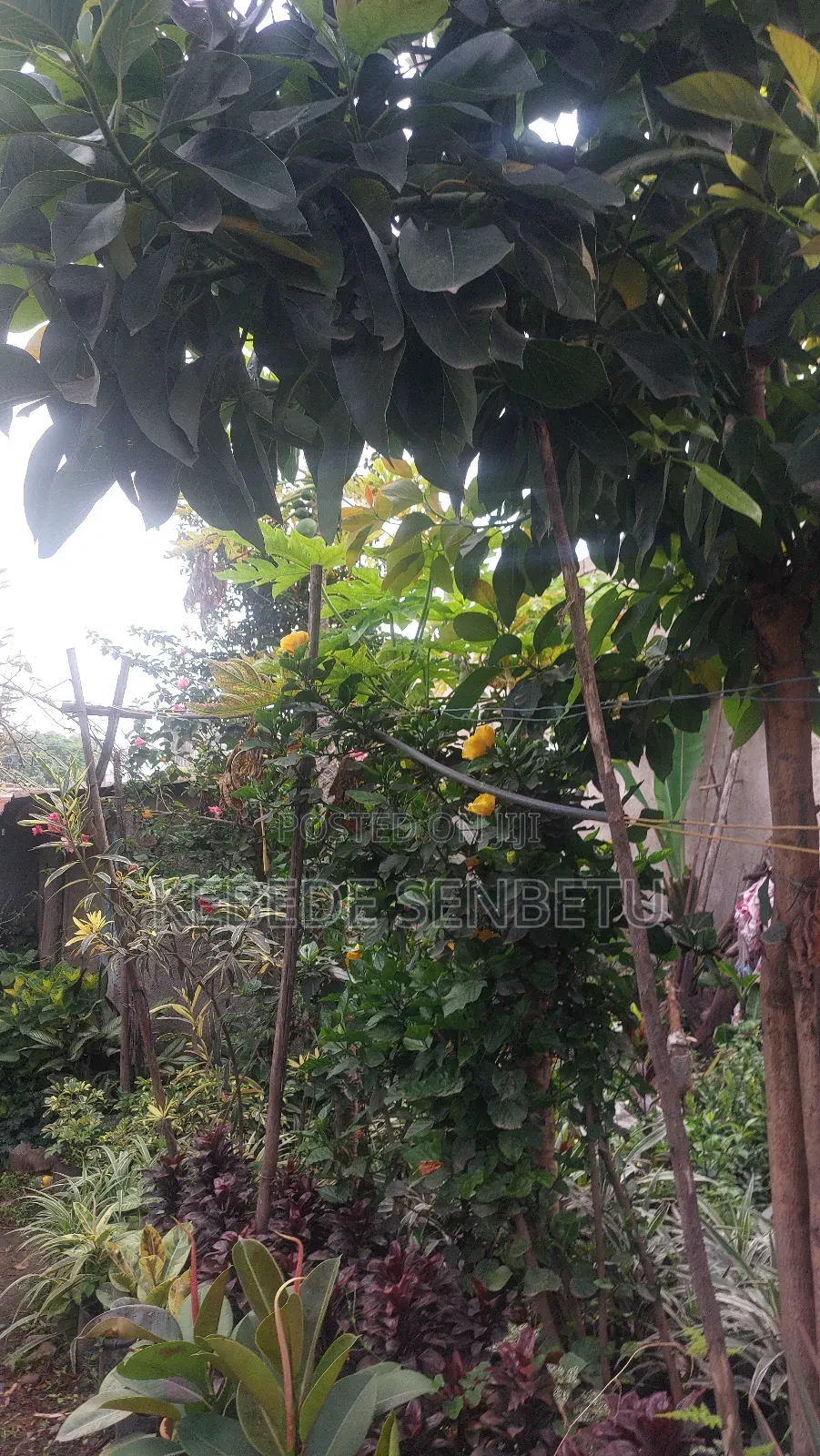 3bdrm House in Oromia, East Shewa for sale