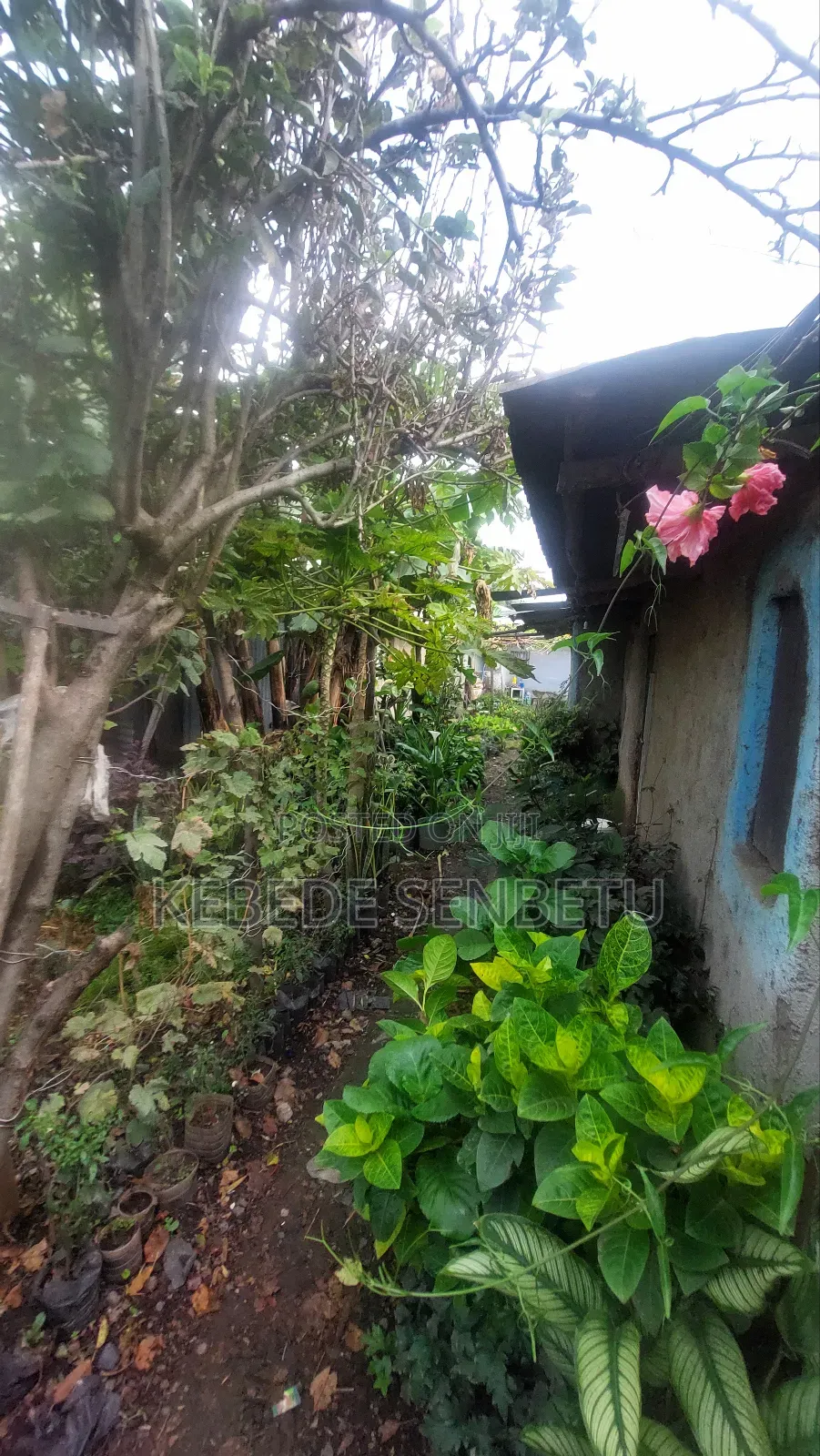 3bdrm House in Oromia, East Shewa for sale
