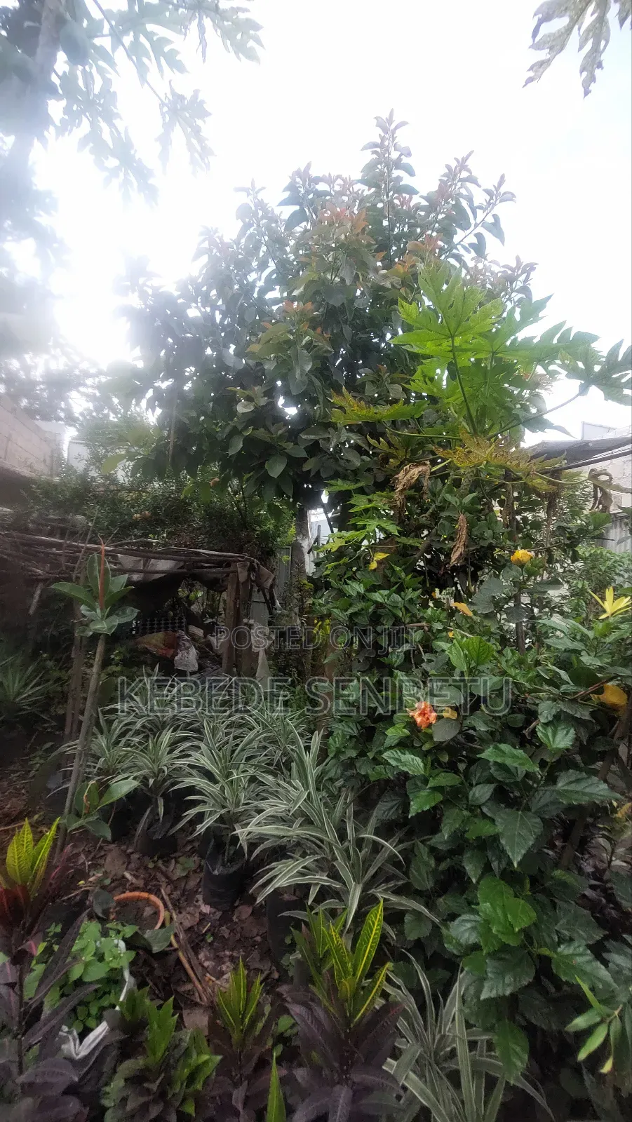 3bdrm House in Oromia, East Shewa for sale