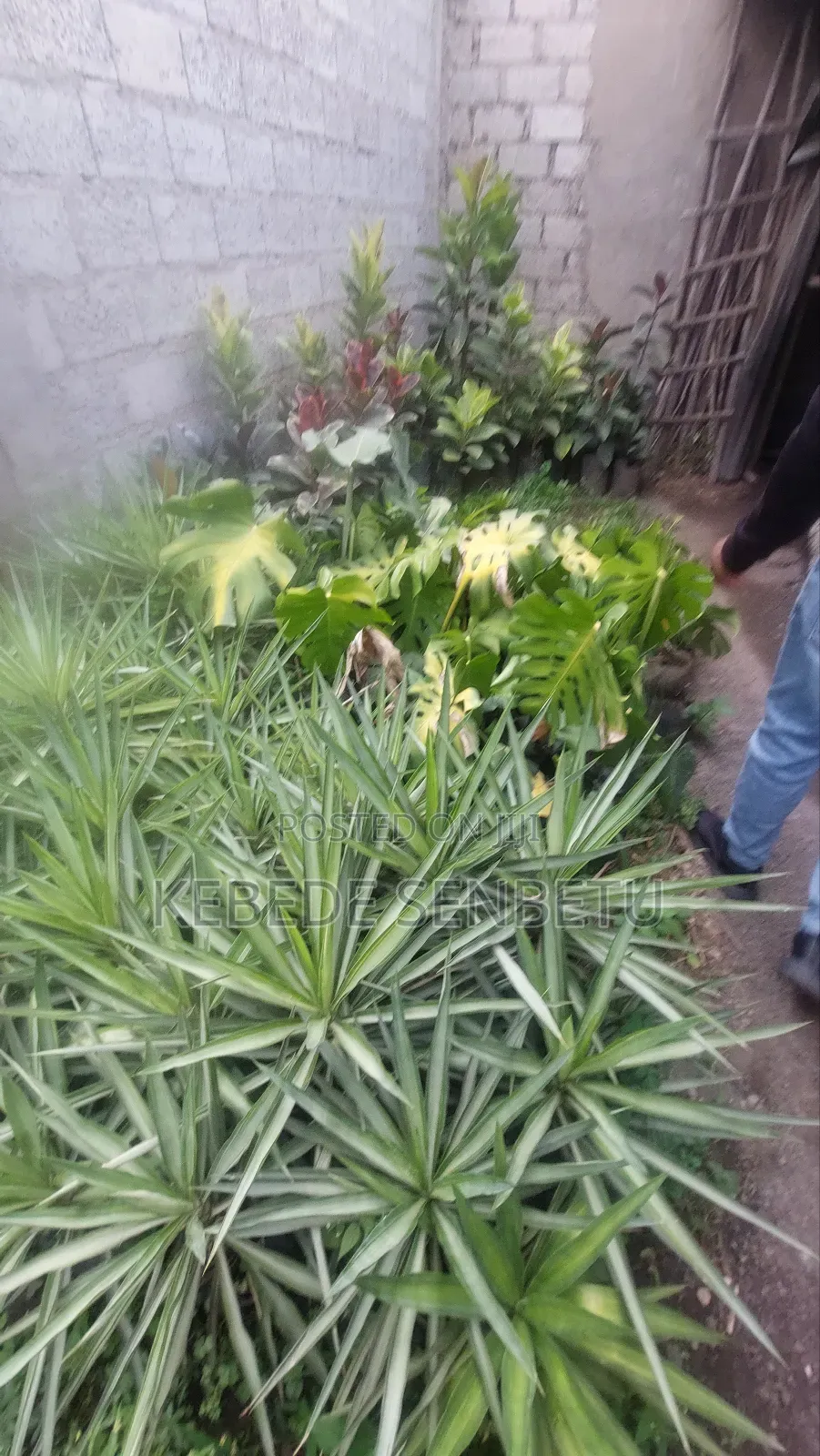 3bdrm House in Oromia, East Shewa for sale