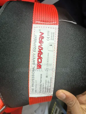 Workman Safety Belt