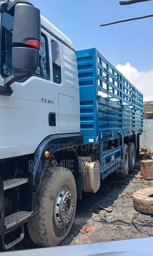 Sino Casoni for Sale