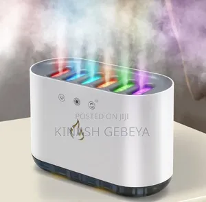 900ml Capacity USB Air Humidifier and Aroma Diffuser