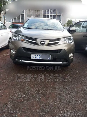 Toyota RAV4 2014 Brown