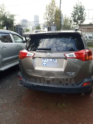 Toyota RAV4 2014 Brown