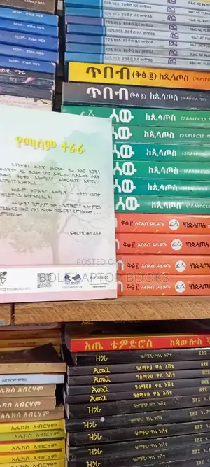 የሚሳም ተራራ በፍቅረማርቆስ ደስታ