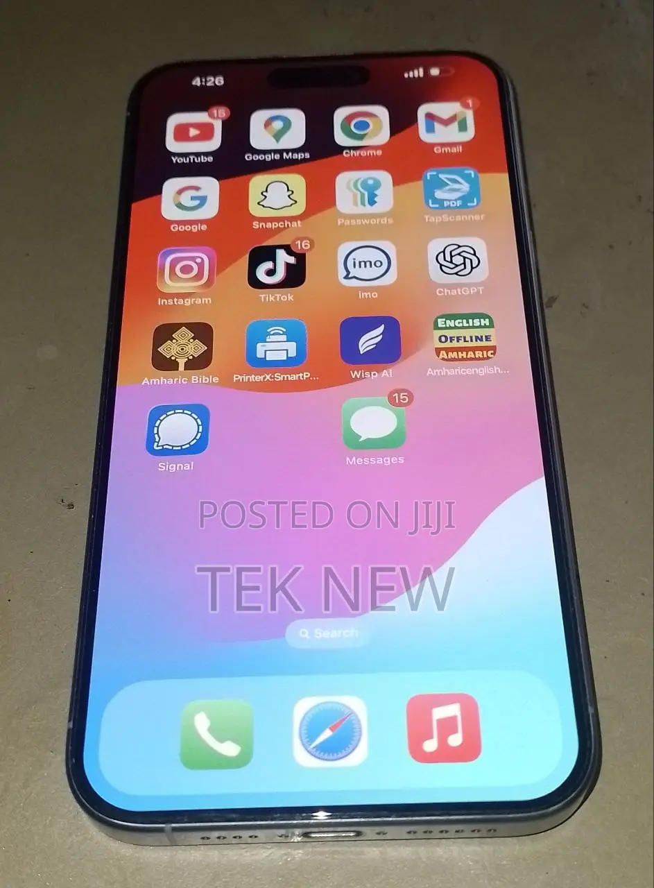 Apple iPhone 15 Pro Max 256 GB Silver