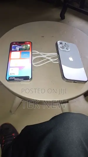 Apple iPhone 15 Pro Max 256 GB Silver