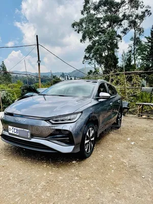 BYD E2 43 kWh 94 hp FWD 2024 Gray