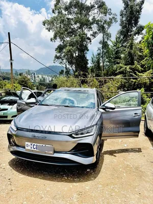 BYD E2 43 kWh 94 hp FWD 2024 Gray