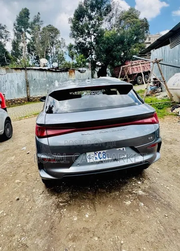BYD E2 43 kWh 94 hp FWD 2024 Gray