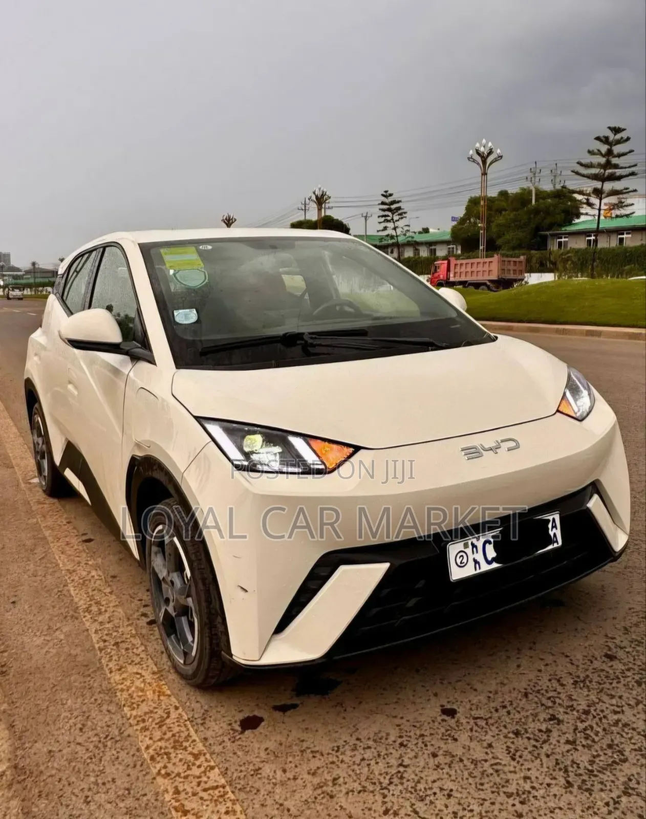 BYD Seagull 2024 Gray