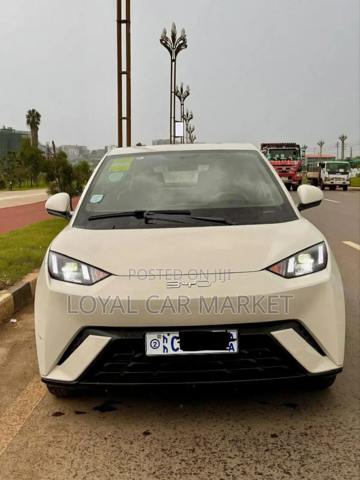 BYD Seagull 2024 Gray