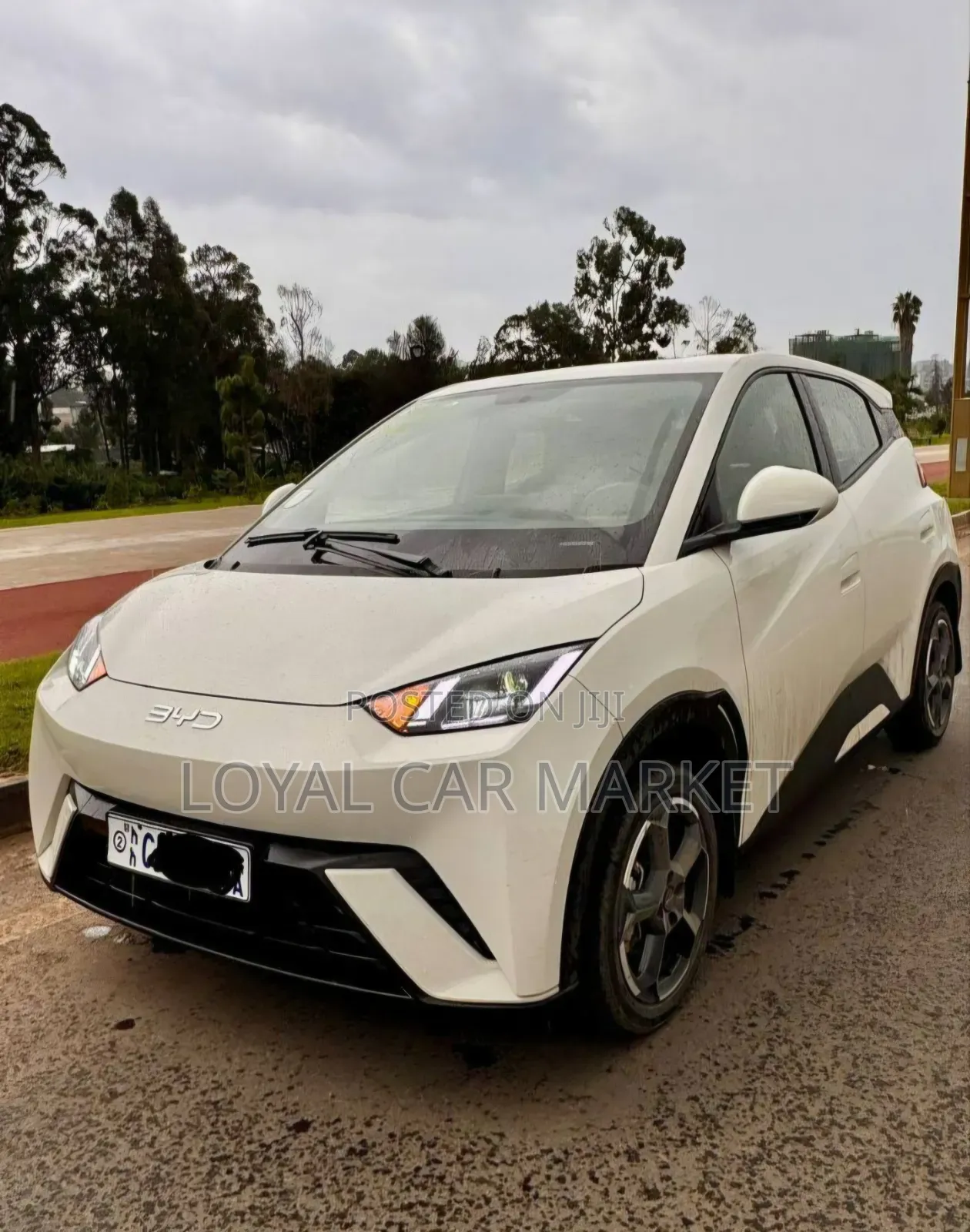 BYD Seagull 2024 Gray