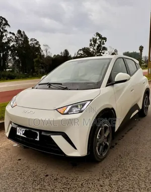 BYD Seagull 2024 Gray
