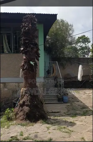 3bdrm House in Nifas Silk-Lafto for sale