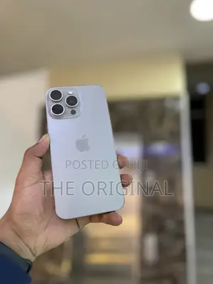 Apple iPhone 15 Pro Max 256 GB Gray