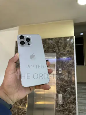 Apple iPhone 15 Pro Max 256 GB Gray