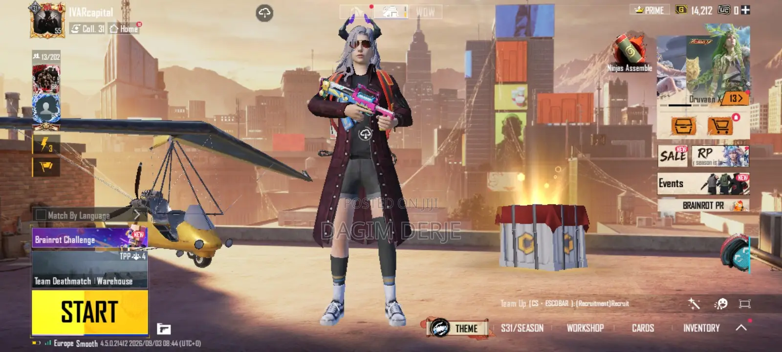 PUBG Account
