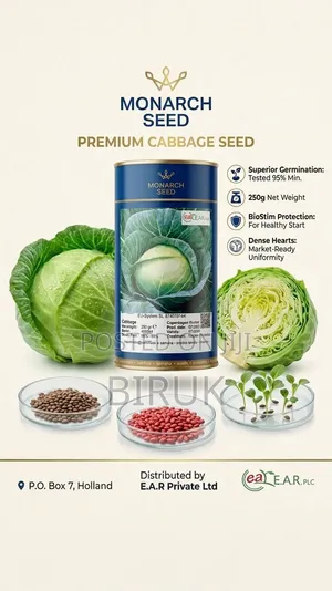 Monarch Premium Cabbage Seed ሞናርክ ፕሪሚየም የጎመን ዘር