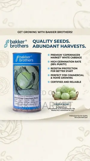 Bakker Brothers White Cabbage Seeds ቤከር ብራዘርስ ነጭ ጎመን ዘሮች
