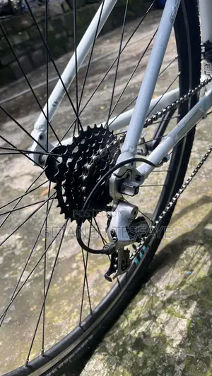 Bianchi C- Sports Hybrid Fitness Bike