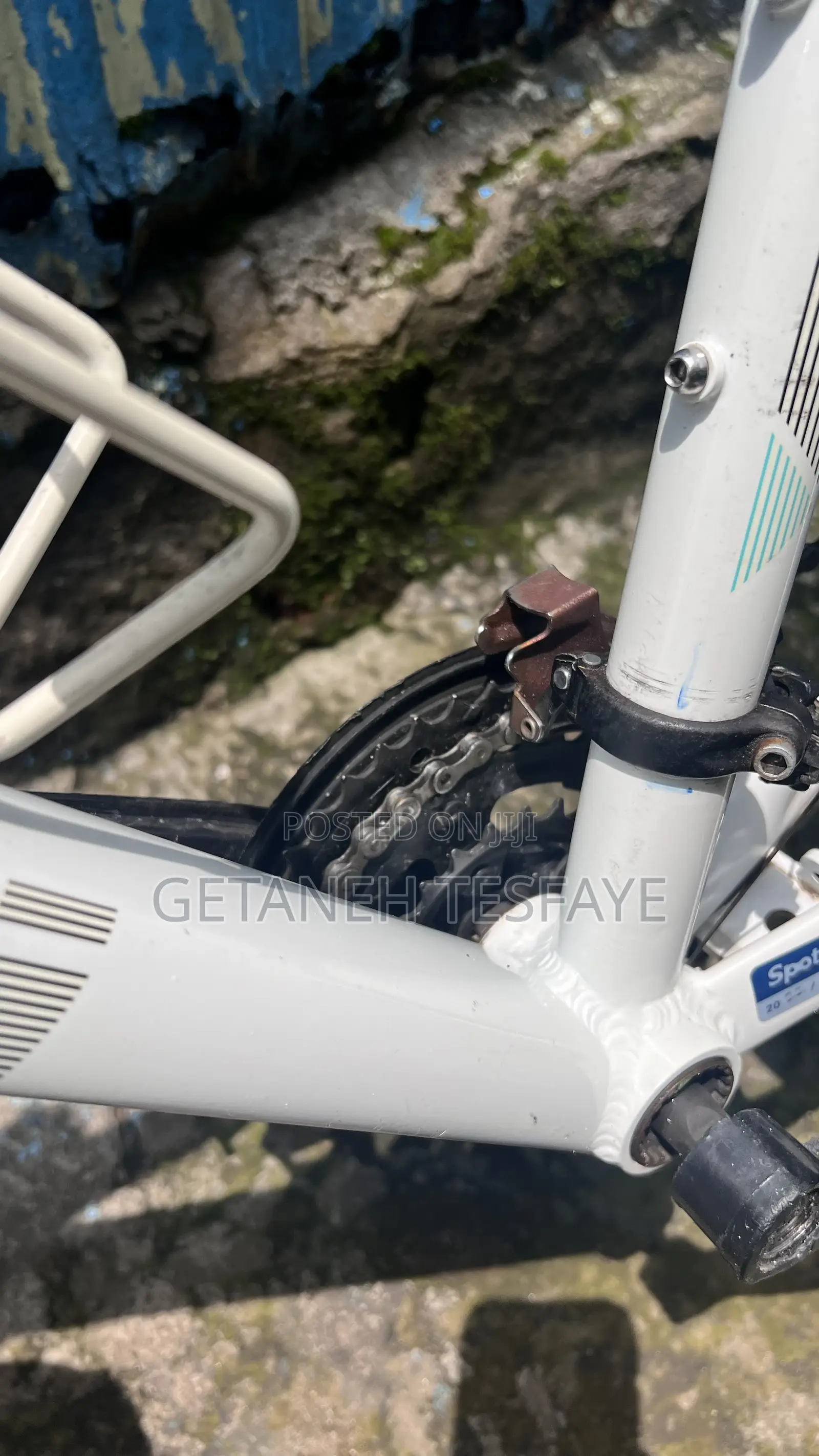 Bianchi C- Sports Hybrid Fitness Bike