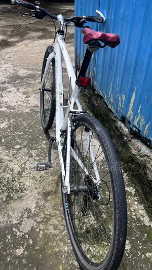 Bianchi C- Sports Hybrid Fitness Bike
