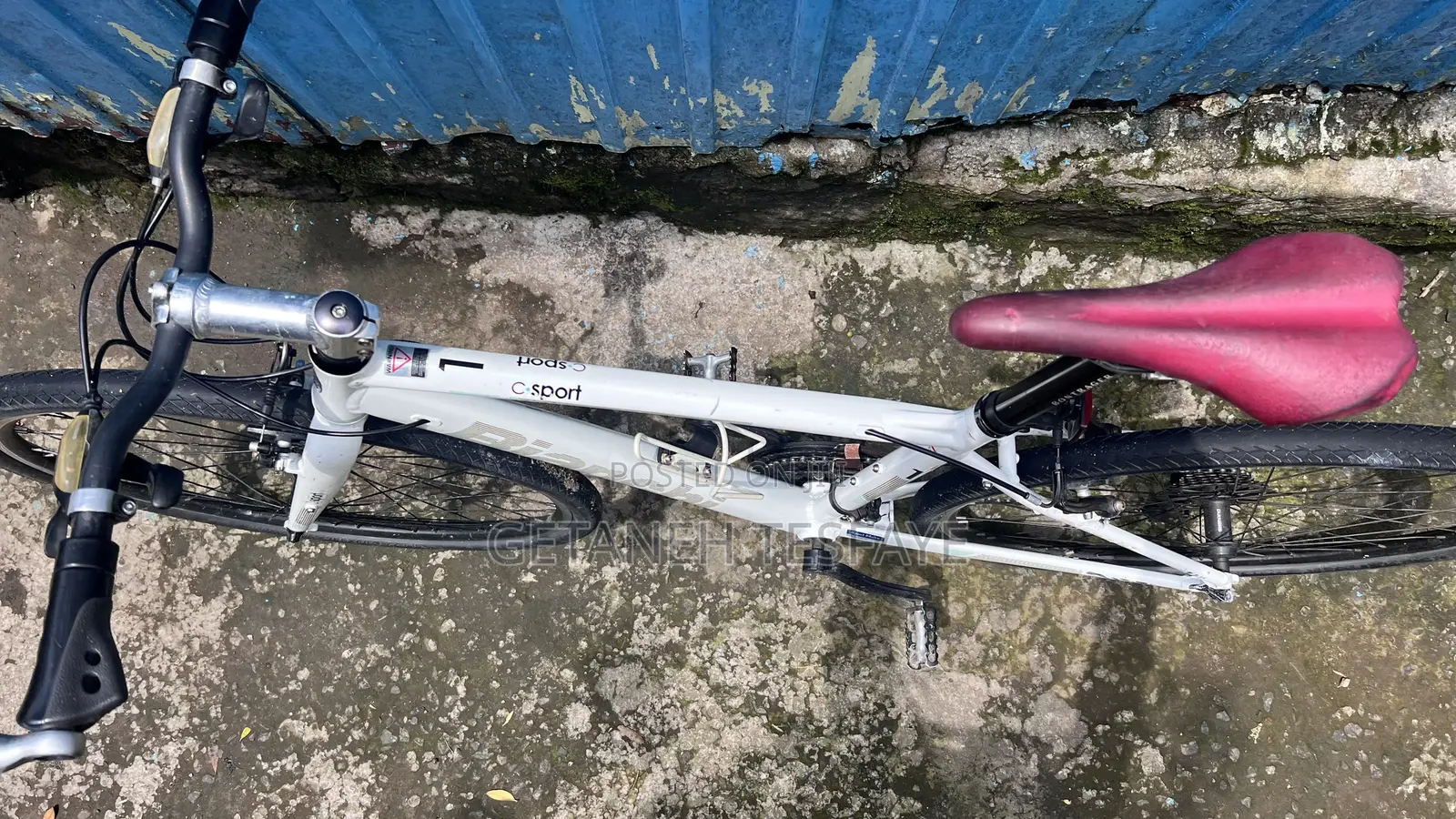 Bianchi C- Sports Hybrid Fitness Bike