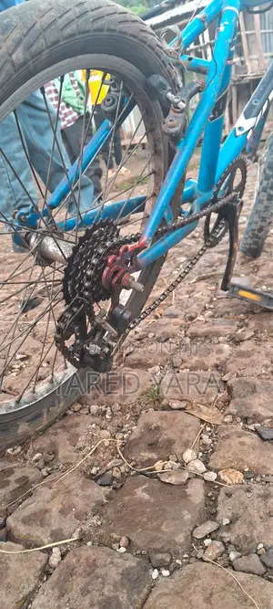 Bicycles Bicycle