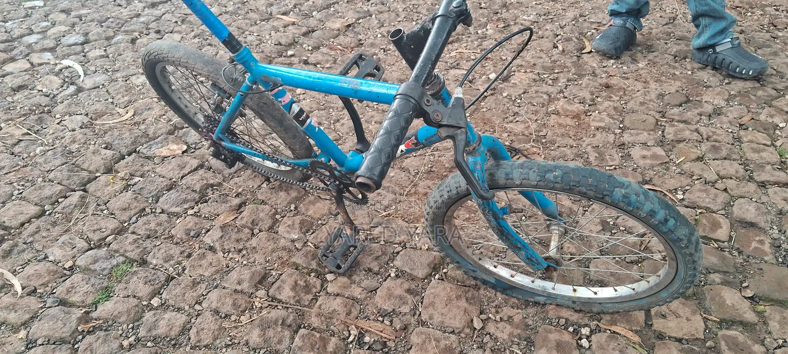 Bicycles Bicycle