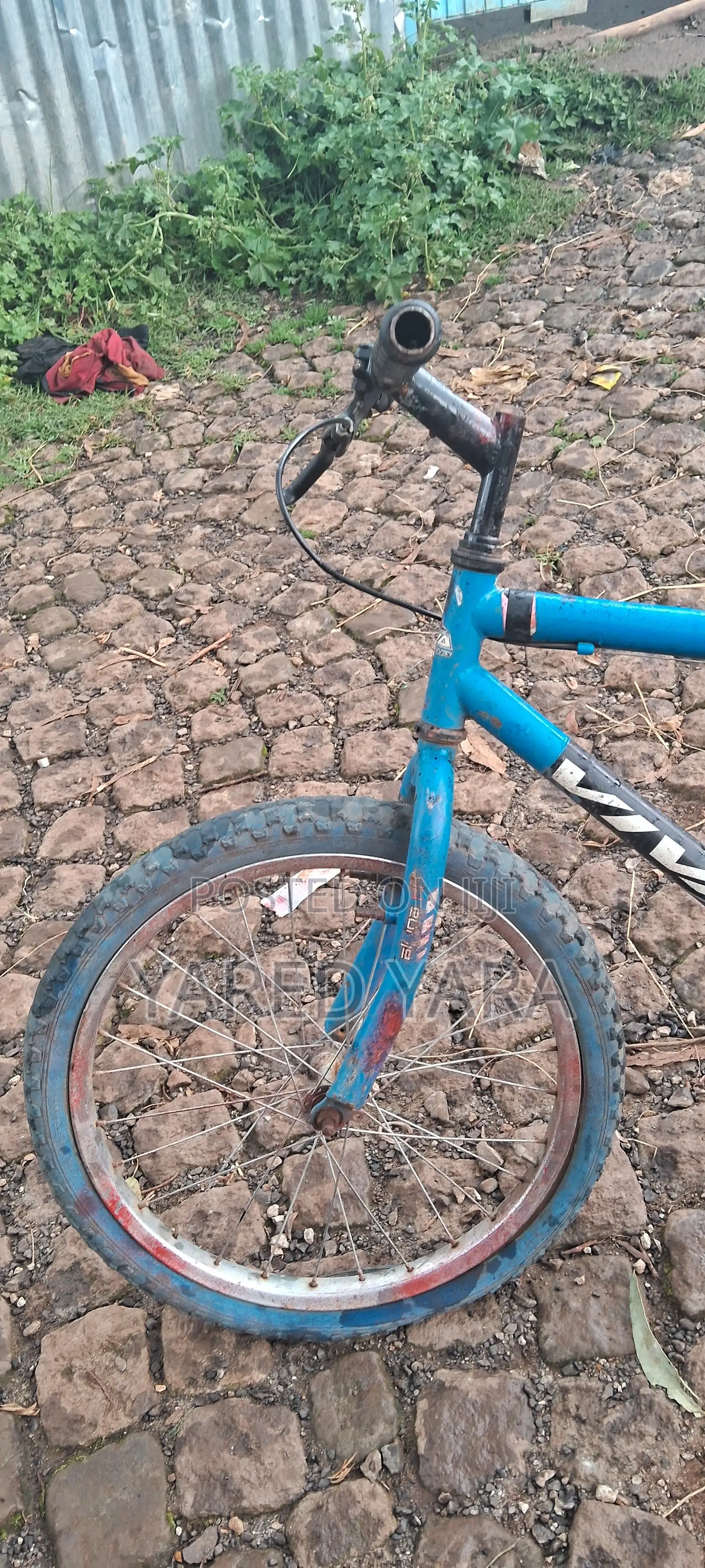 Bicycles Bicycle