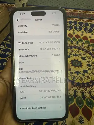 Apple iPhone 15 Pro Max 256 GB Black
