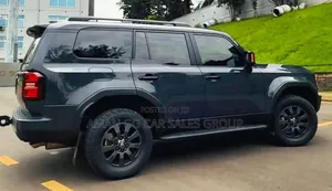 Toyota Land Cruiser 2023 Gray